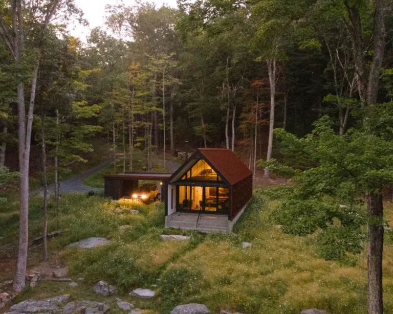 The Pond House – A modern cabin within the forest